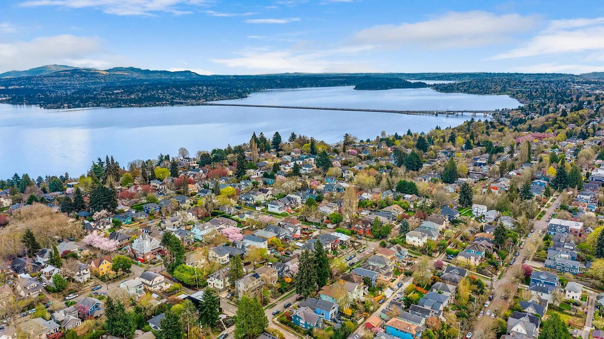 Madrona Bliss A Modern Escape Apartment Seattle