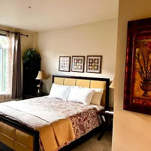 Cozy Nearby Attractions Center Apartment