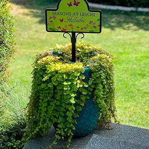 Seasons At Leschi Hillsides Apartment